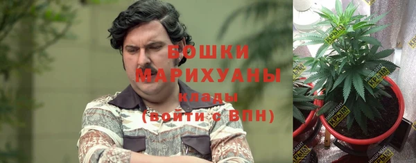 эйфоретик Баксан