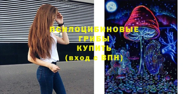 эйфоретик Баксан