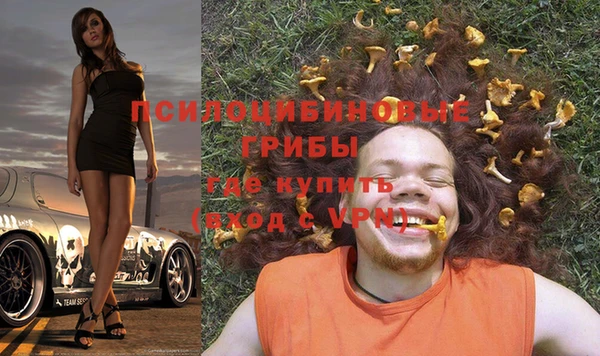 шишки Балабаново