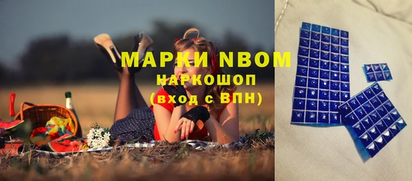 эйфоретик Баксан