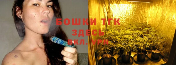 эйфоретик Баксан