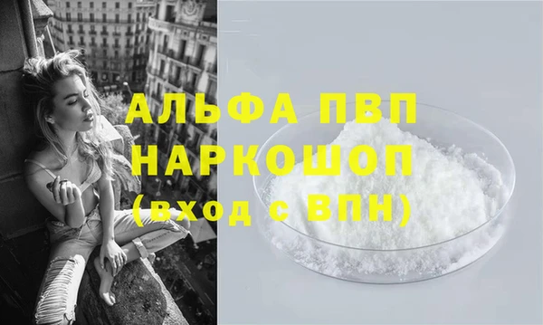 эйфоретик Баксан